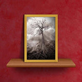ArtzFolio Old Dark Roots Paper Poster Frame | Top Acrylic Glass